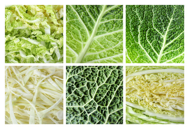 Image of Collage of different fresh cabbages, top view