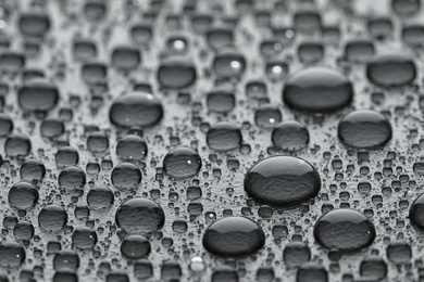 Water drops on grey background, closeup view