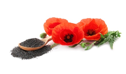 Photo of Composition with poppy seeds and flowers on white background