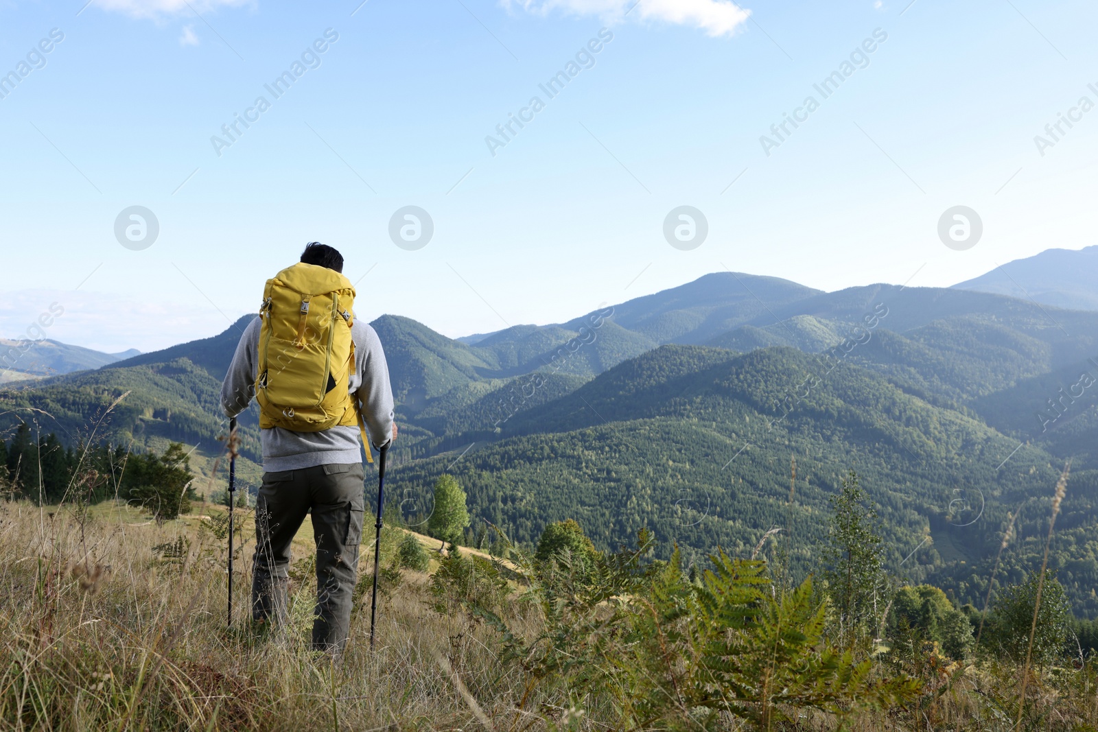 Photo of Tourist with backpack and trekking poles enjoying mountain landscape, back view. Space for text