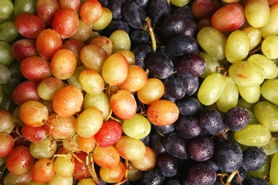 Fresh ripe juicy grapes as background, closeup