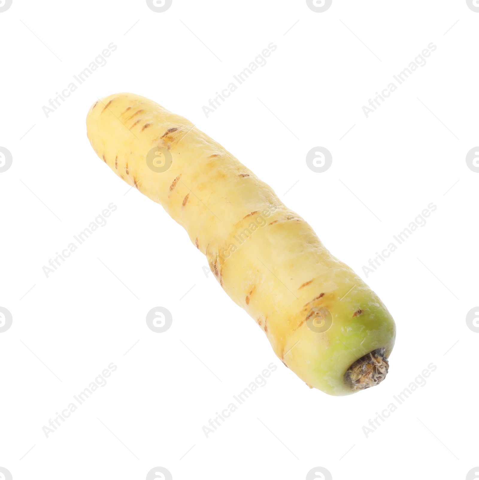 Photo of Whole fresh raw carrot isolated on white