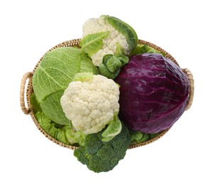 Wicker tray with different types of fresh cabbage on white background, top view