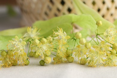 Photo of Fresh linden leaves and flowers on white cloth, closeup