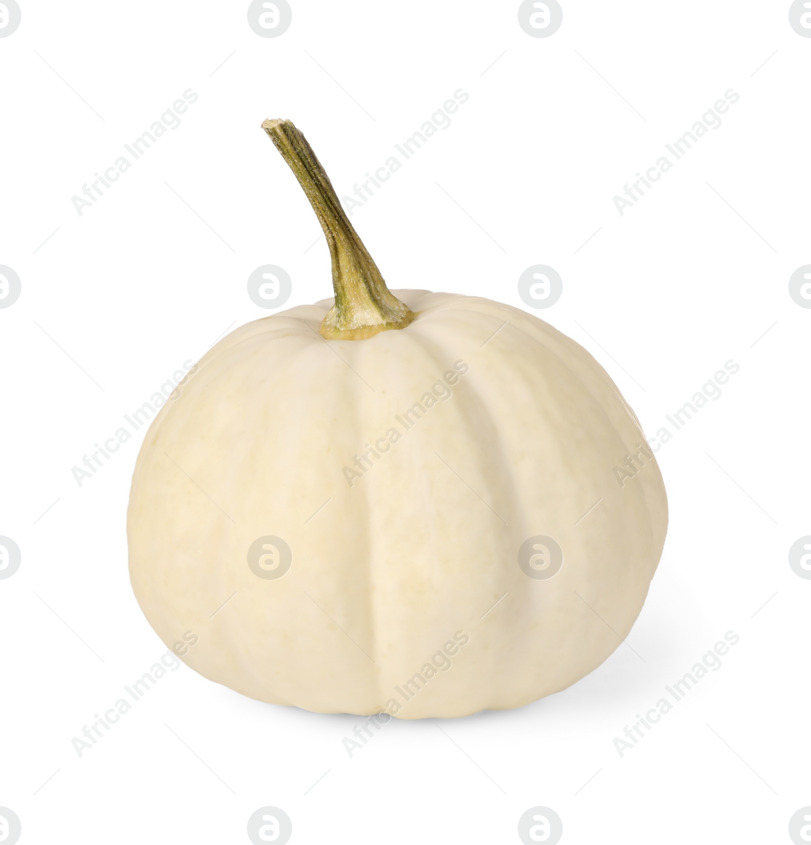 Photo of One fresh ripe pumpkin isolated on white