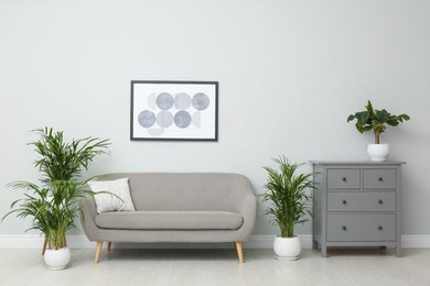 Exotic house plants with comfortable couch in room interior