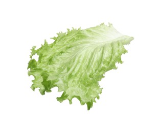 Fresh green lettuce leaf isolated on white