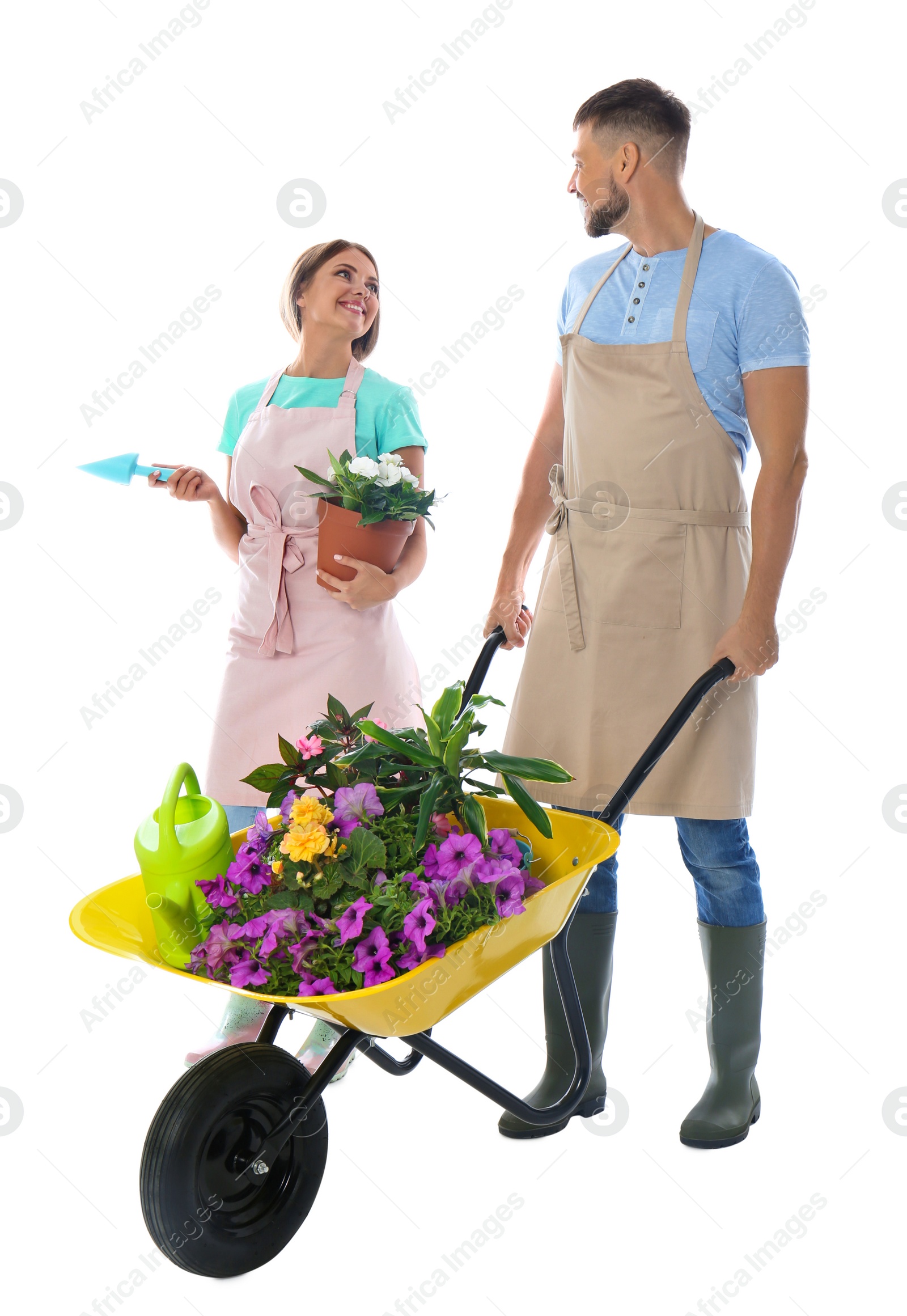 Photo of Couple of gardeners with wheelbarrow and plants on white background