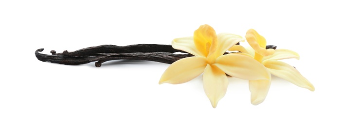 Aromatic vanilla sticks and flowers on white background