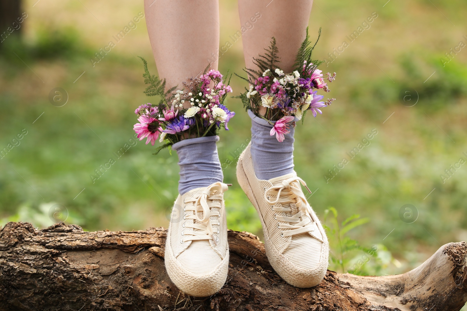 Photo of Woman standing on log with flowers in socks outdoors, closeup