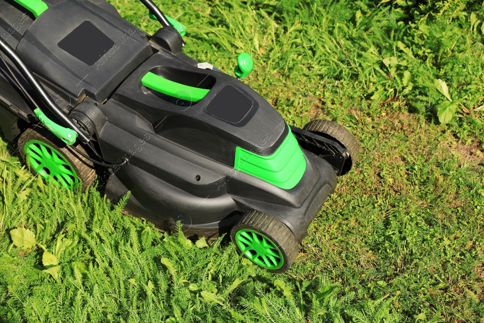 Photo of Cutting green grass with lawn mower in garden