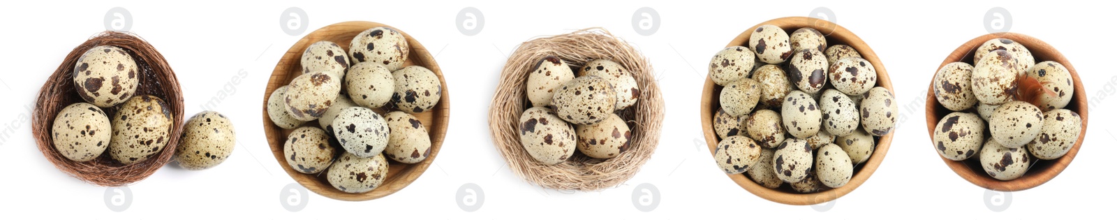 Image of Set with quail eggs on white background, top view. Banner design