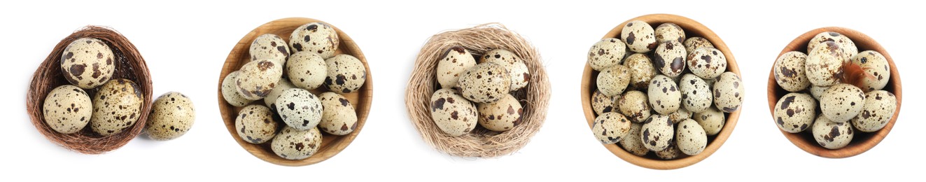 Image of Set with quail eggs on white background, top view. Banner design