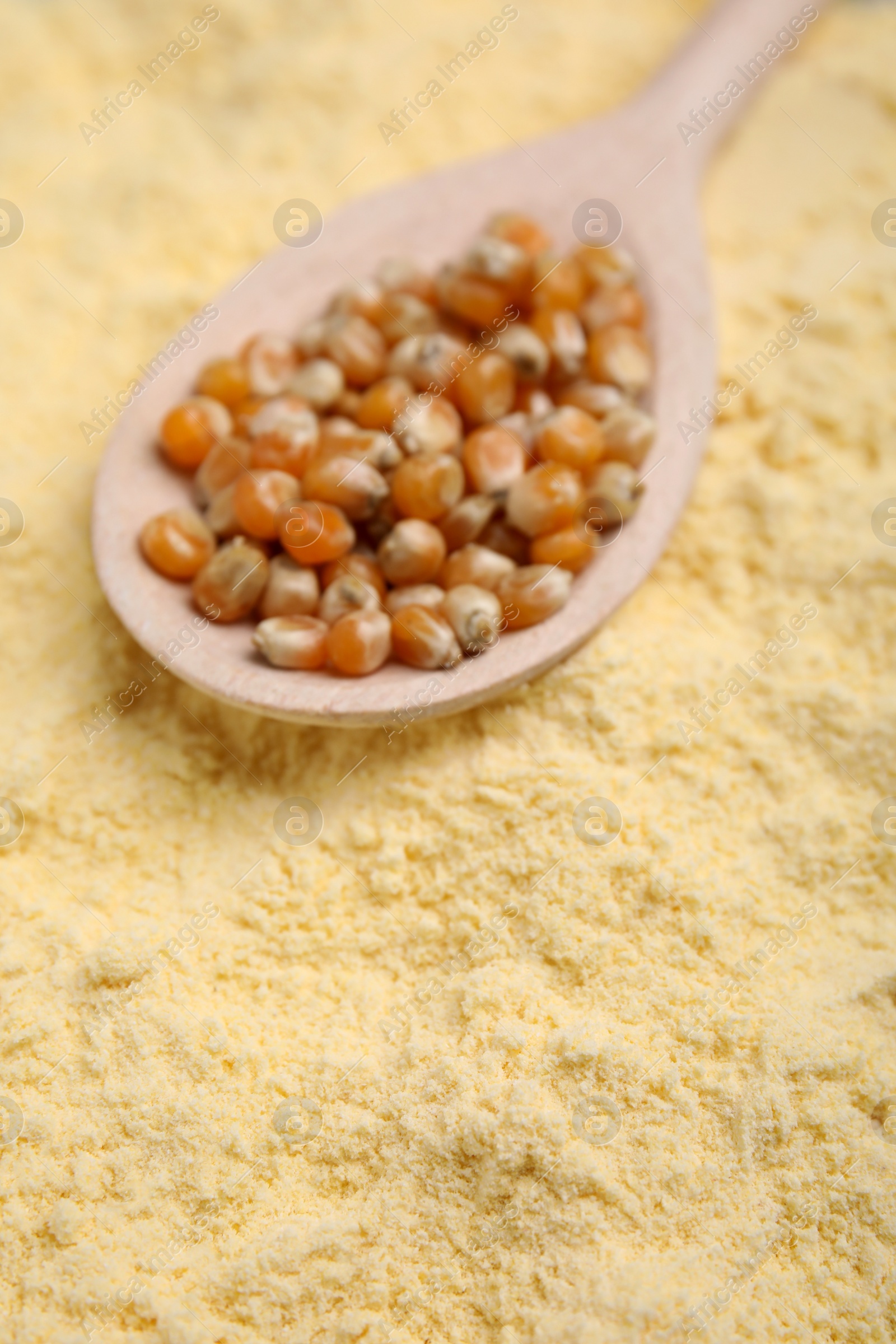 Photo of Spoon with corn grains on flour, closeup