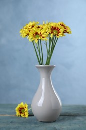 Vase with beautiful chrysanthemum flowers on blue wooden table