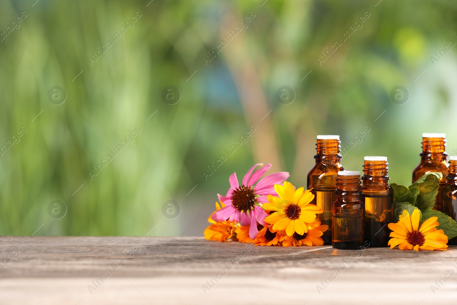 Photo of Bottles with essential oils, mint and flowers on wooden table against blurred green background. Space for text