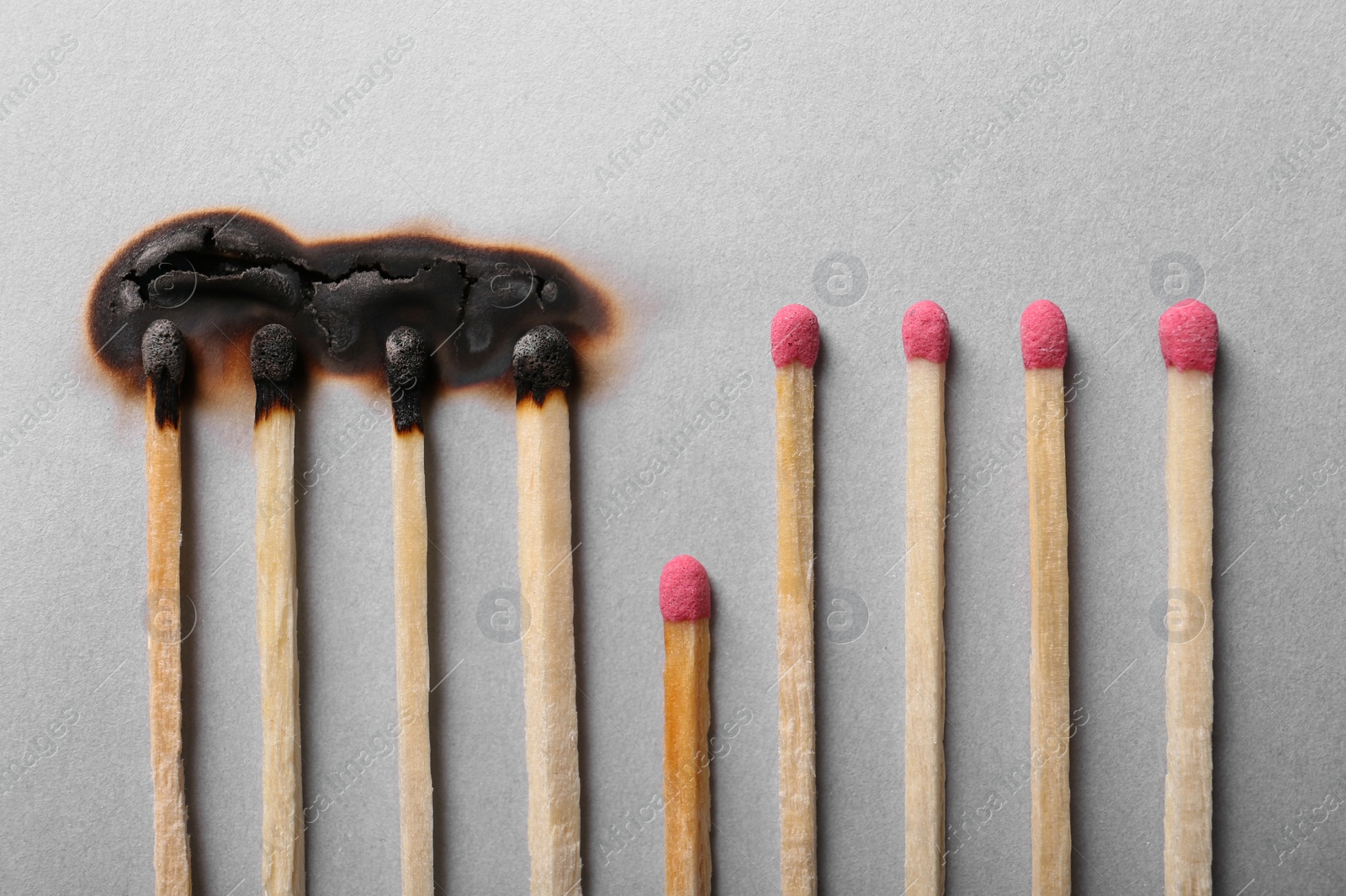 Photo of Burnt and whole matches on light grey background, flat lay. Stop destruction by breaking chain reaction concept