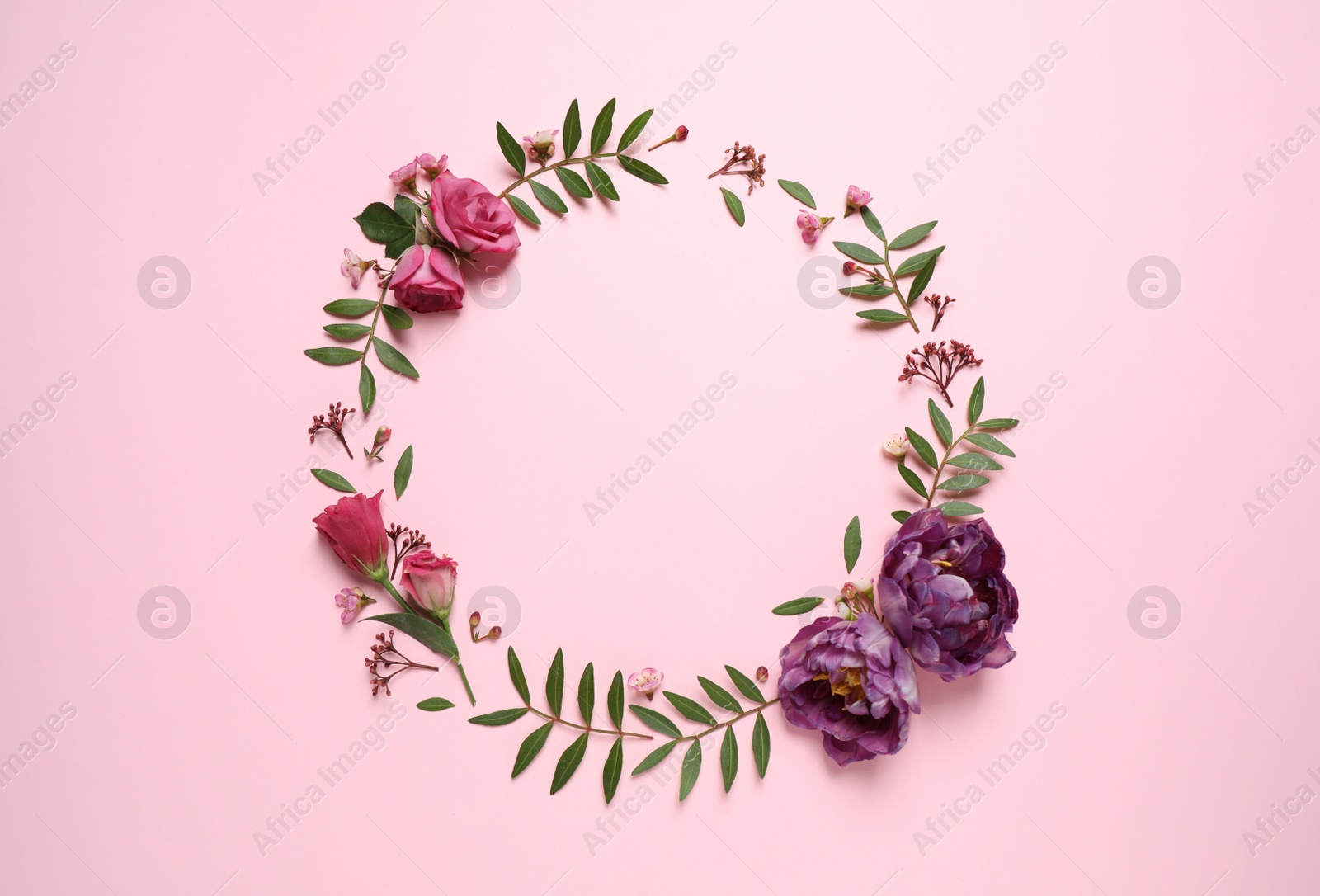 Photo of Frame made of beautiful flowers on pink background, flat lay with space for text. Floral composition