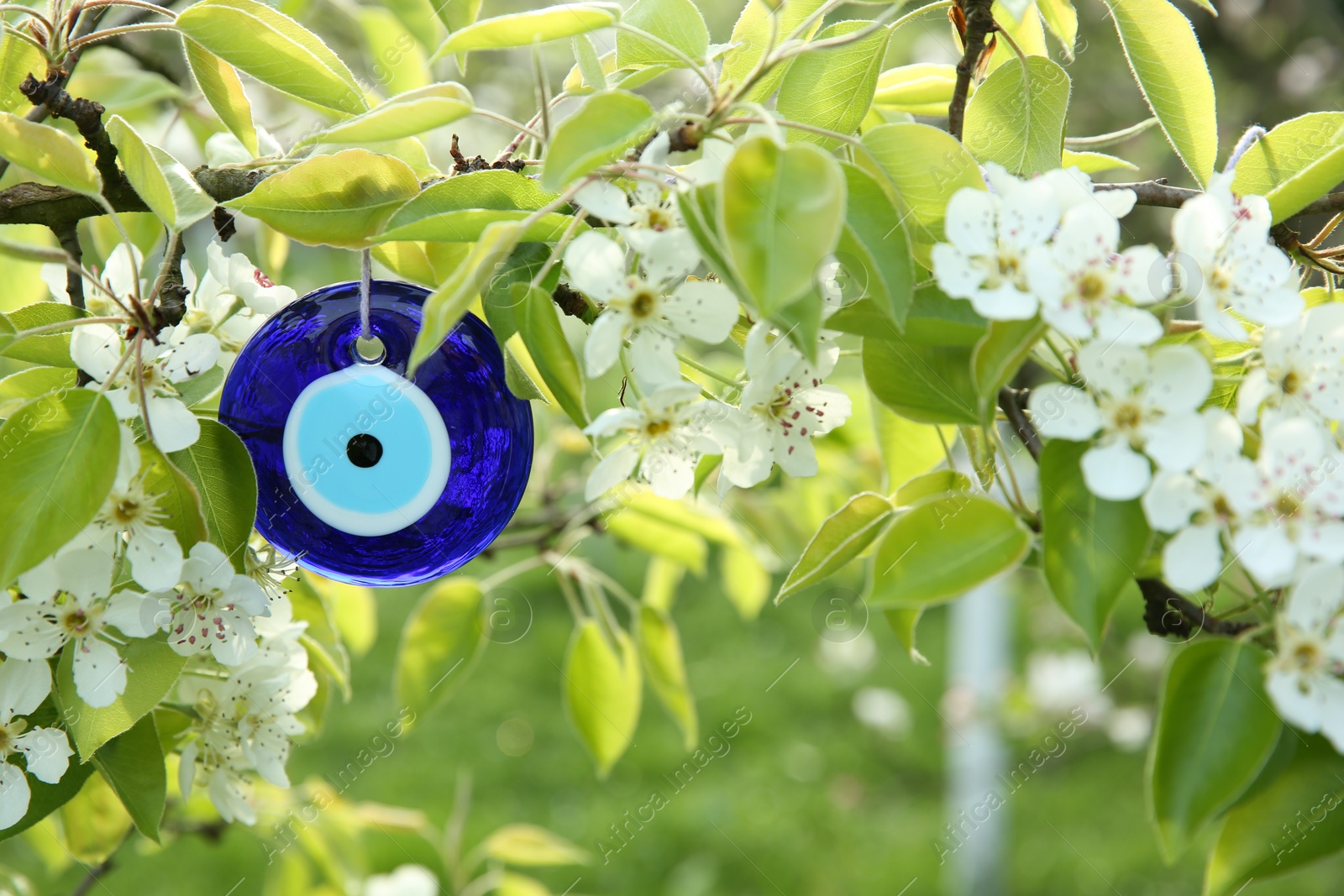 Photo of Evil eye amulet hanging on blossoming spring tree outdoors, closeup. Space for text