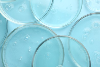 Photo of Petri dishes with liquid samples on light blue background, top view