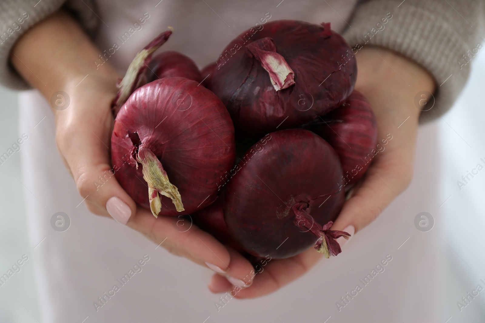 Photo of Woman holding red onions on blurred background, closeup