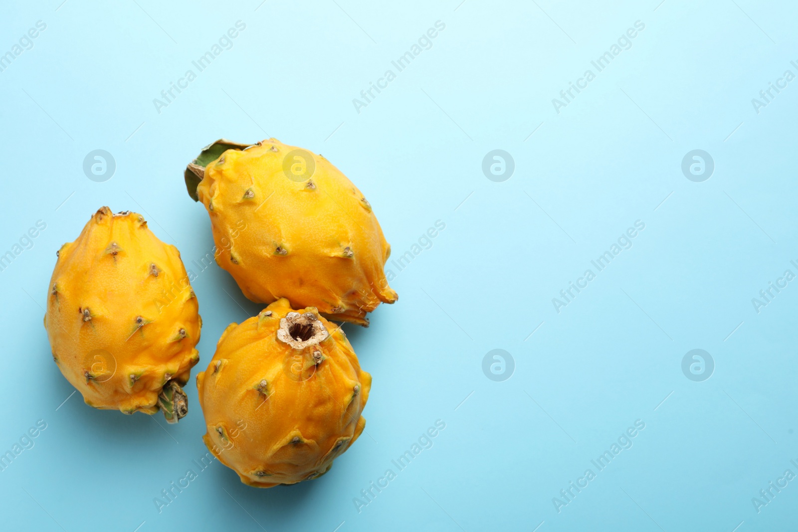 Photo of Delicious yellow pitahaya fruits on light blue background, flat lay. Space for text