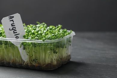 Sprouted arugula seeds in plastic container on grey table. Space for text