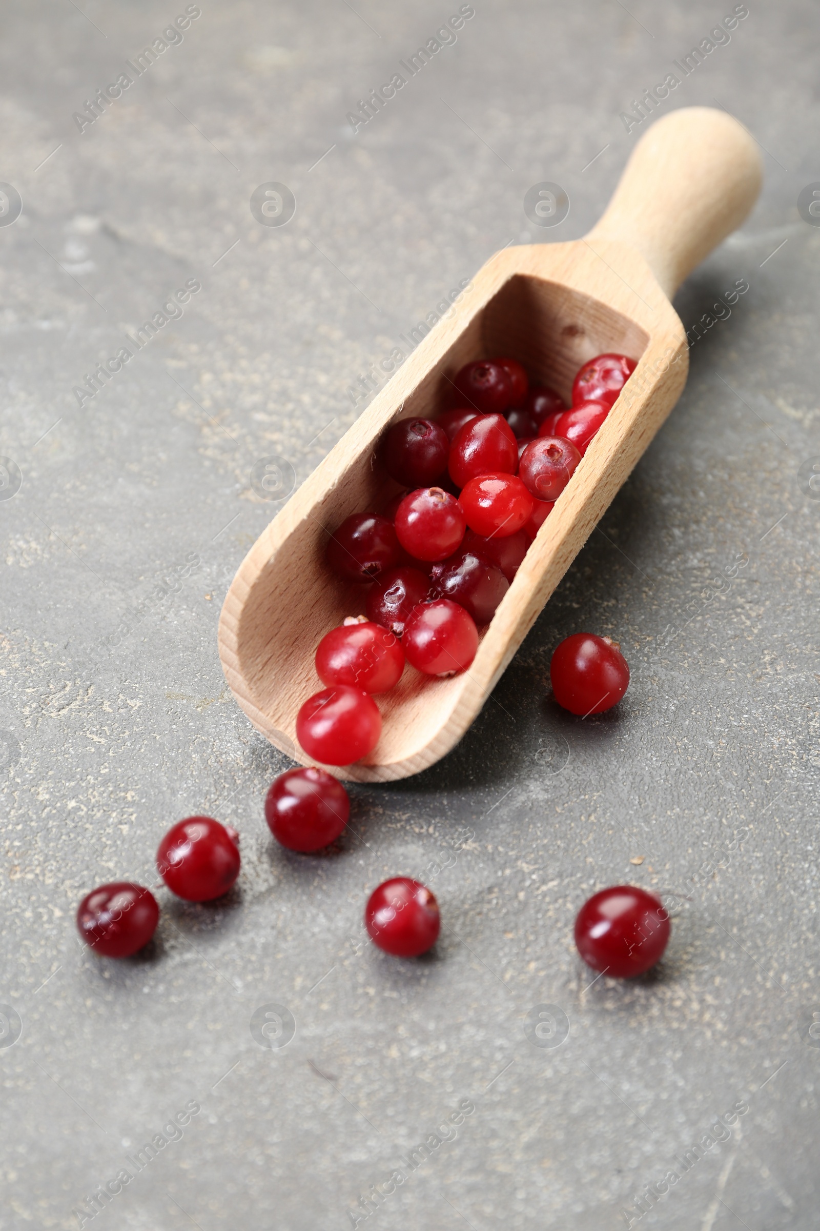 Photo of Scoop with fresh ripe cranberries on grey table