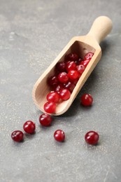 Scoop with fresh ripe cranberries on grey table