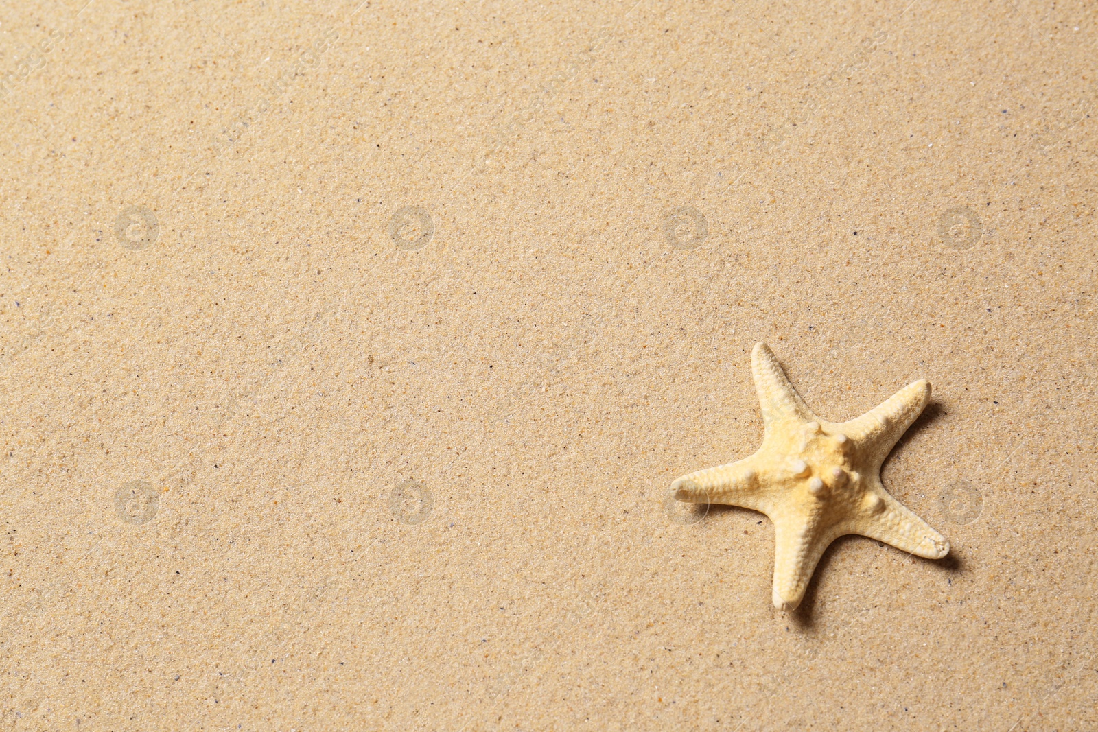 Photo of Beautiful starfish and space for text on beach sand, top view. Summer vacation