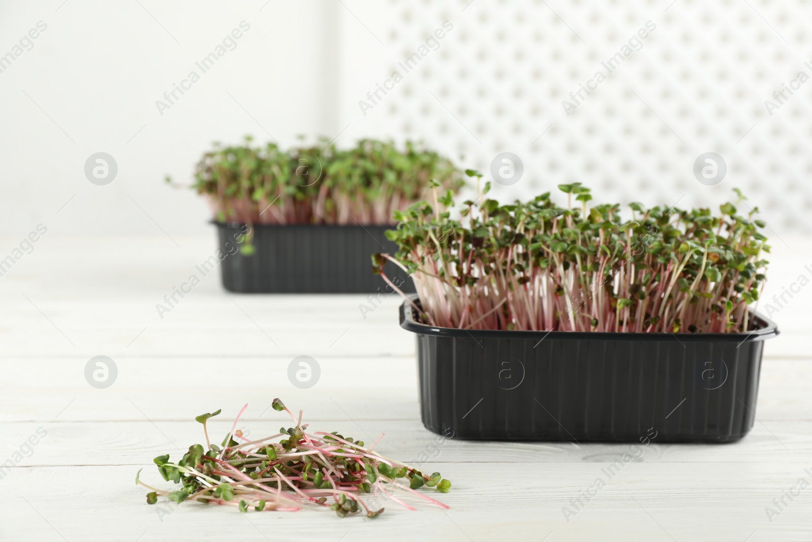 Photo of Fresh radish microgreens on white wooden table