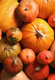 Photo of Many different pumpkins as background, closeup. Autumn holidays