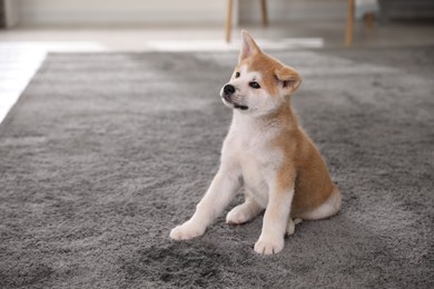 Photo of Adorable akita inu puppy near puddle on carpet indoors