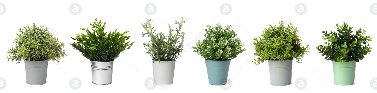 Image of Set of artificial plants in flower pots isolated on white