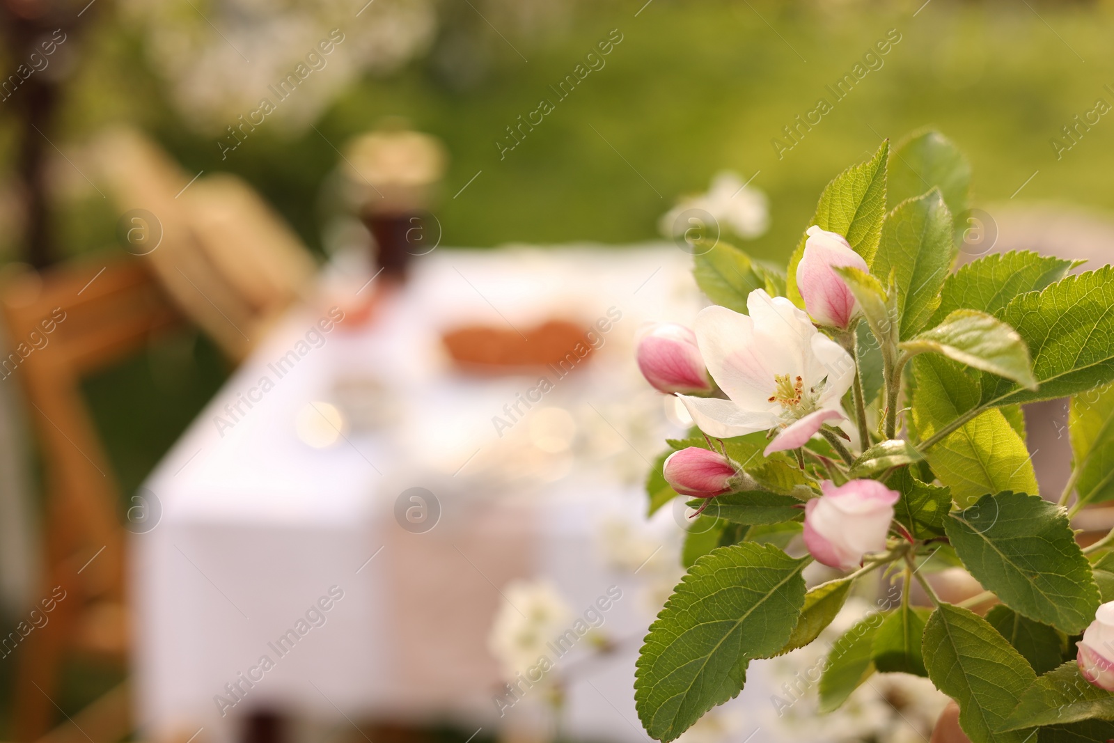 Photo of Stylish table setting in garden, focus on beautiful branch with spring flowers, closeup. Space for text