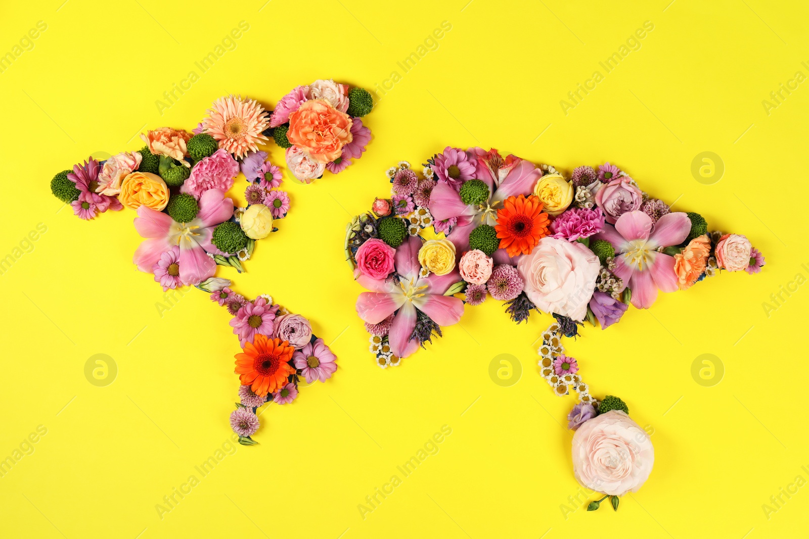 Photo of World map made of different beautiful flowers on yellow background, flat lay