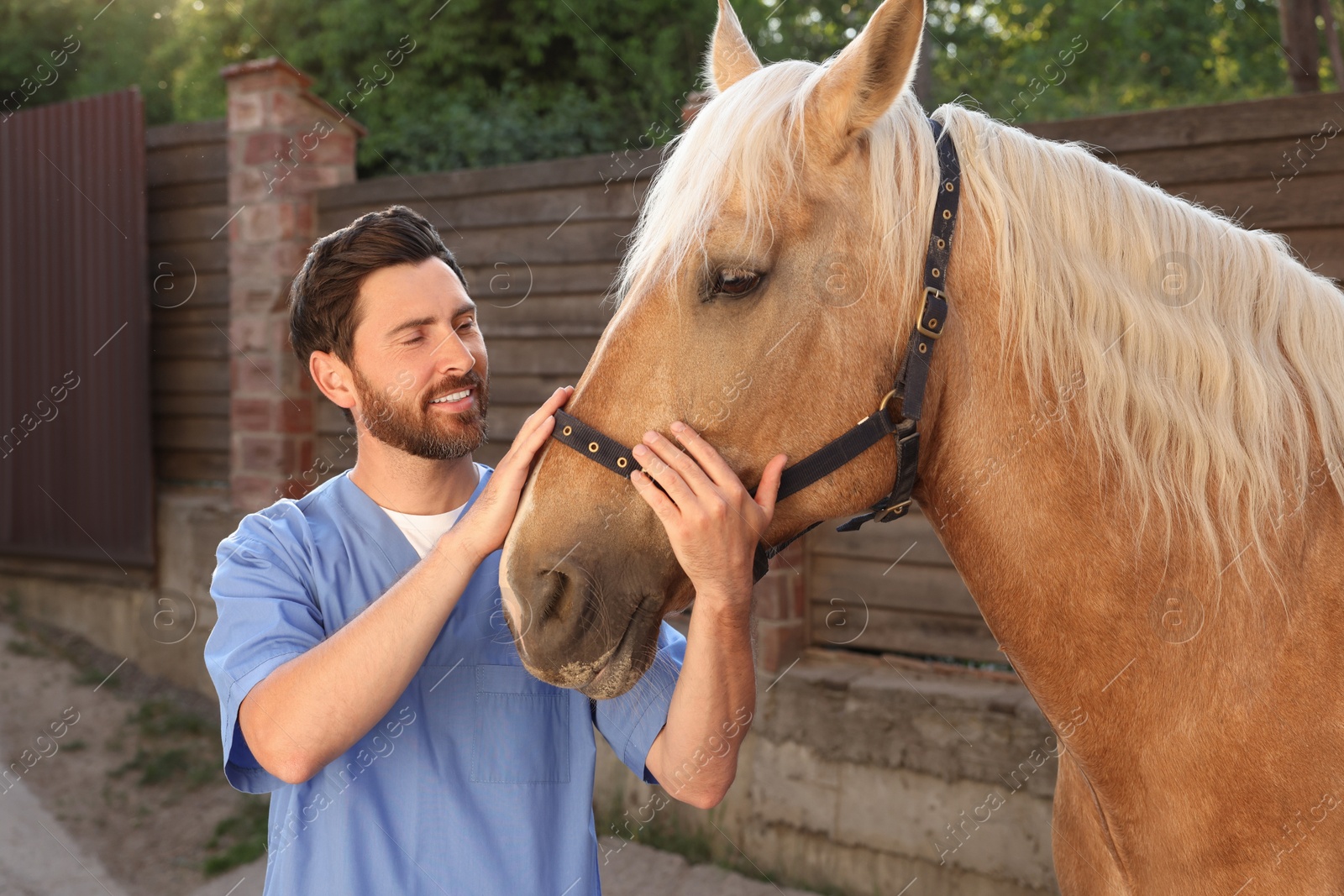 Photo of Veterinarian with adorable horse outdoors. Pet care