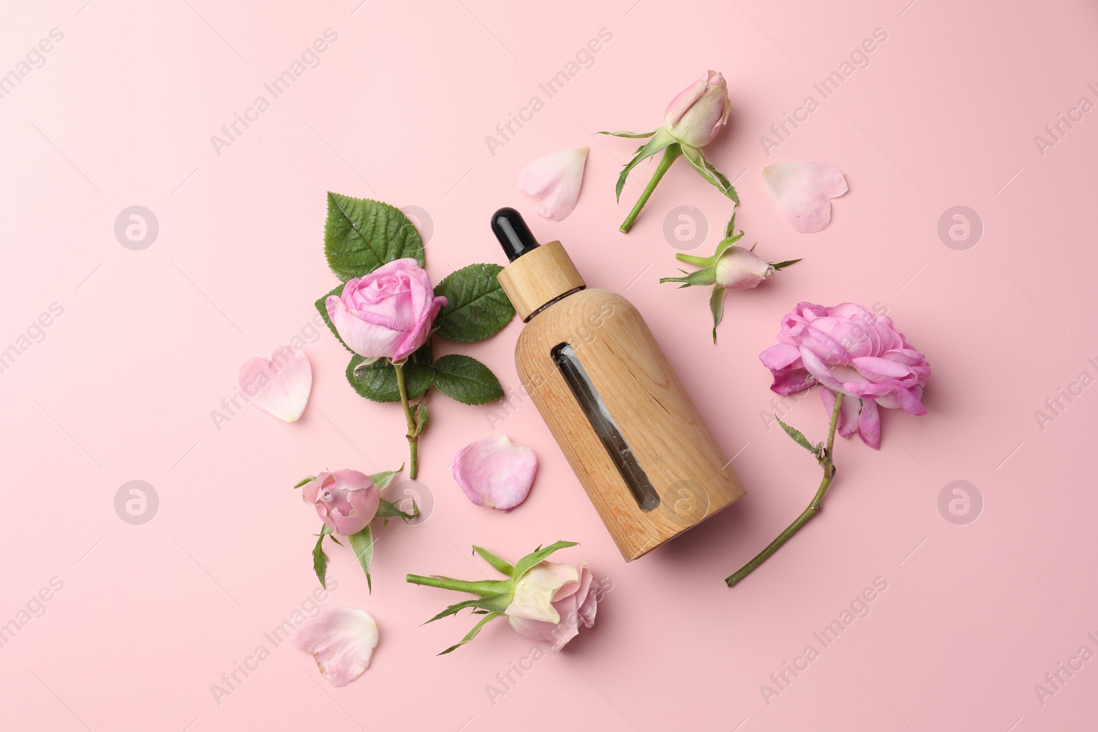 Photo of Aromatherapy. Essential oil, flowers and green leaves on pink background, flat lay