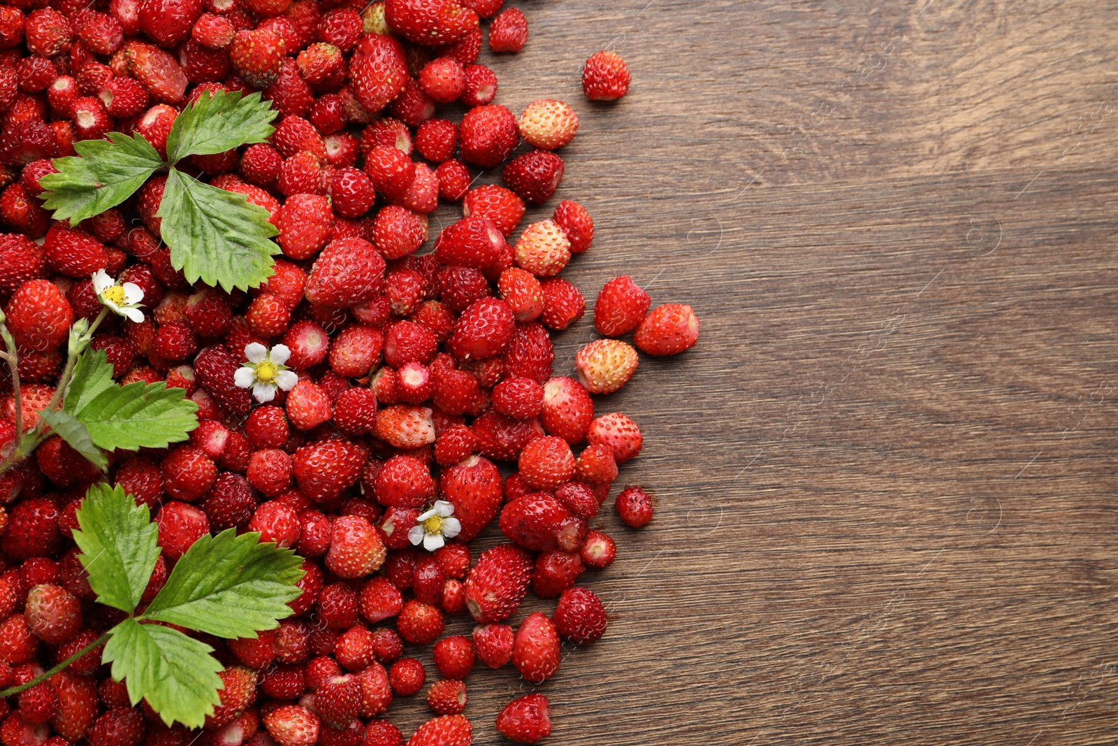 Photo of Many fresh wild strawberries, flowers and leaves on wooden table, flat lay. Space for text