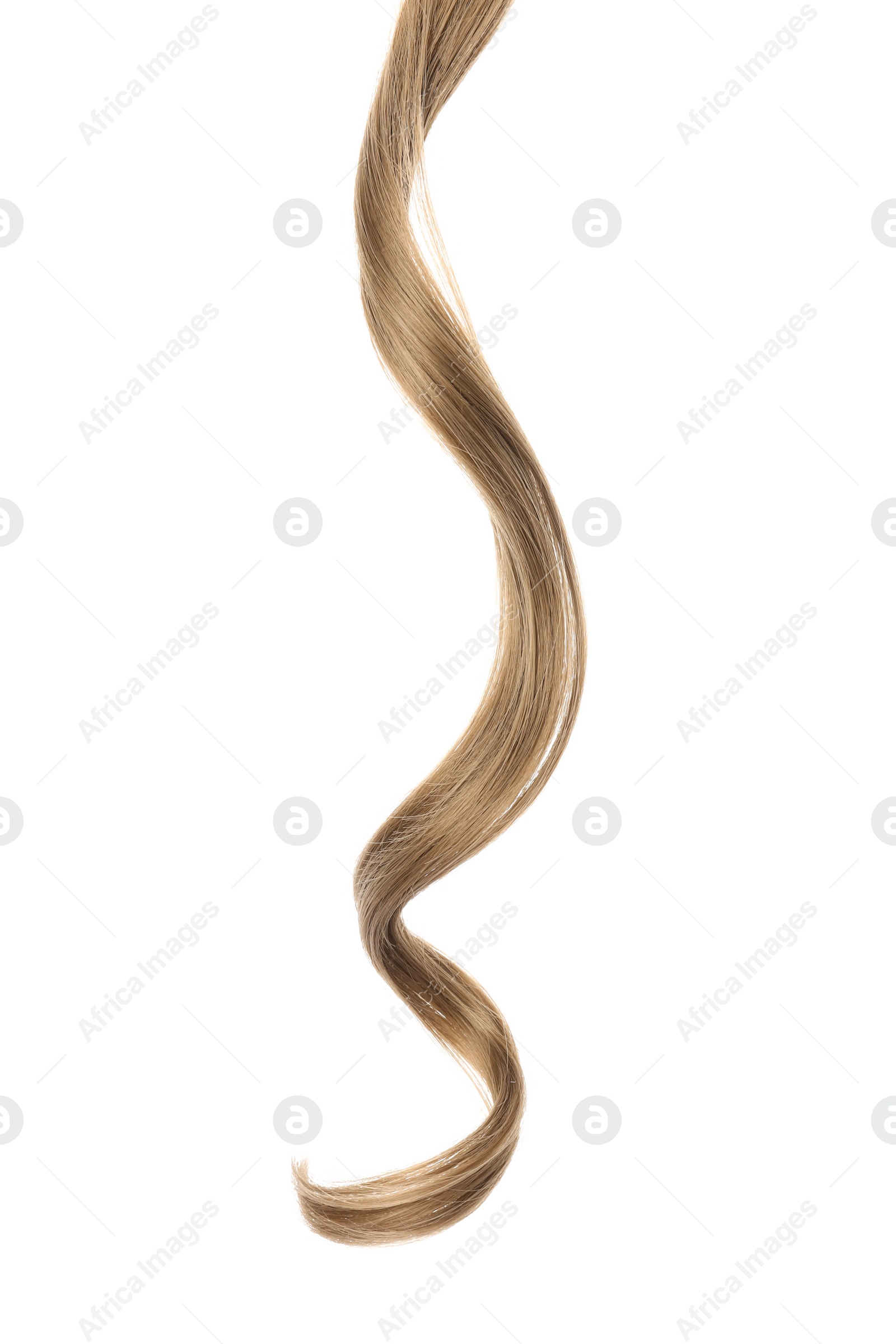 Photo of Lock of healthy hair on white background