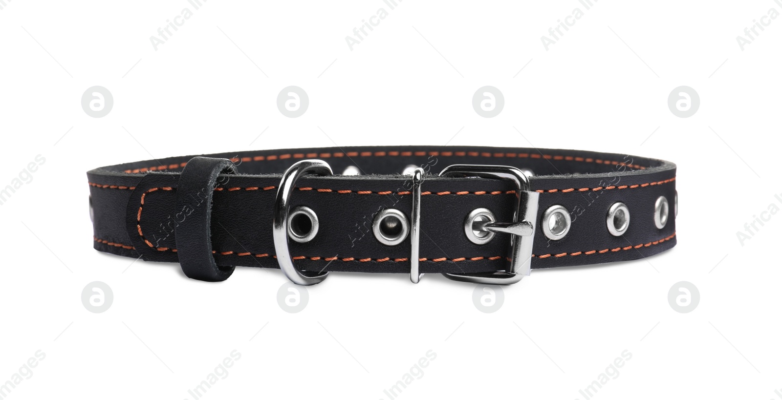 Photo of Black leather dog collar isolated on white