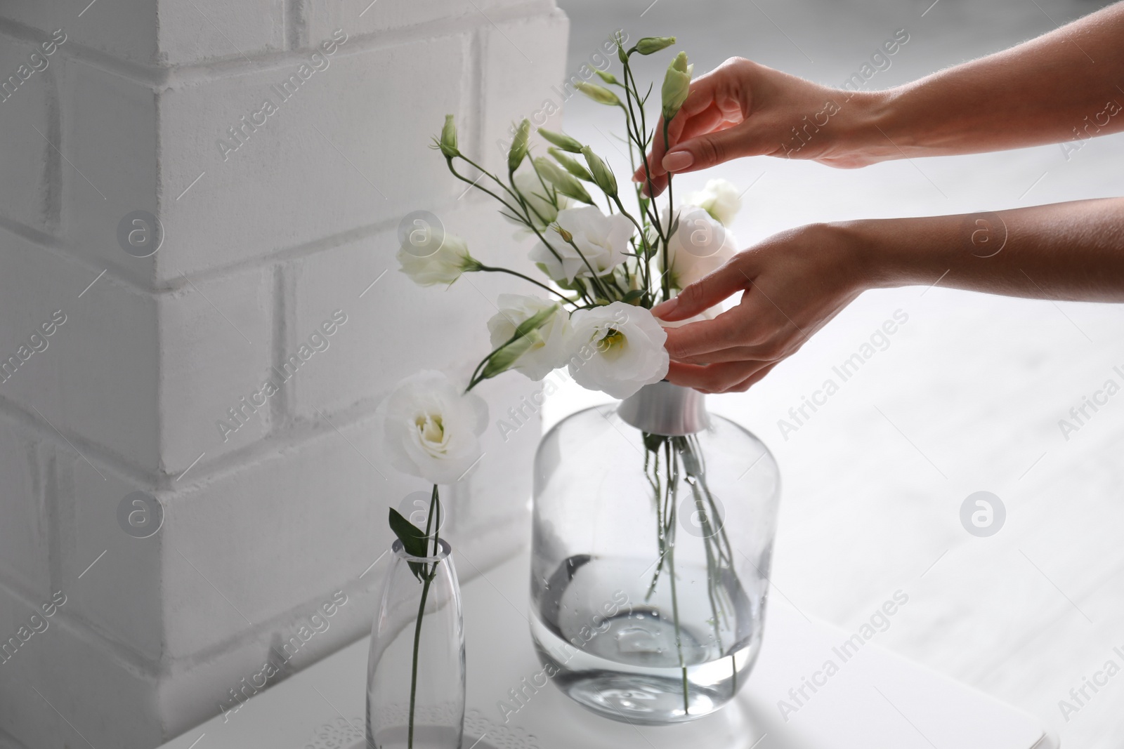 Photo of Woman taking beautiful flowers from vase indoors, closeup