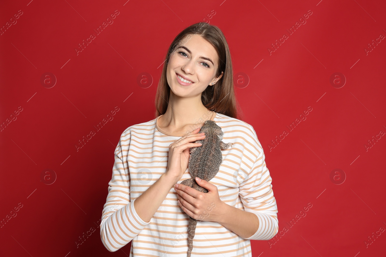 Photo of Woman holding bearded lizard on red background. Exotic pet