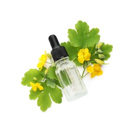 Bottle of essential oil and celandine on white background, top view