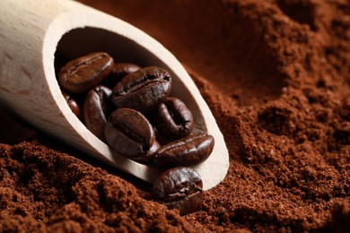 Photo of Scoop with roasted beans on ground coffee, closeup
