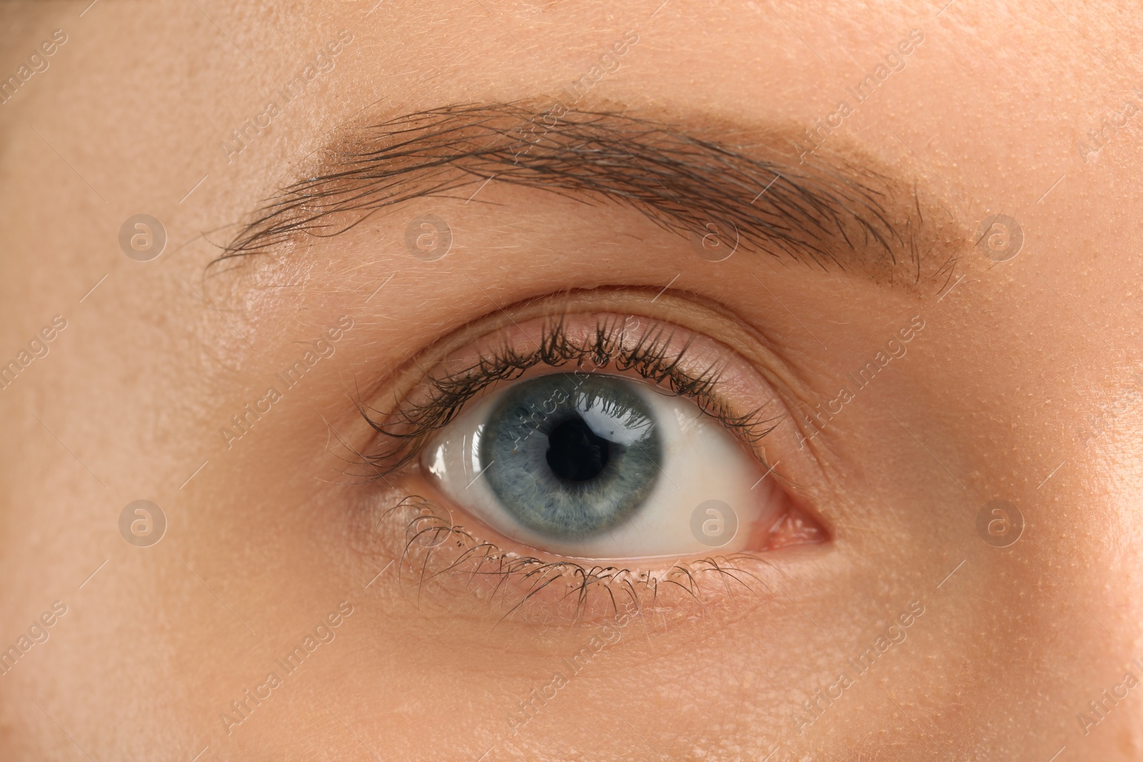 Photo of Woman with beautiful natural eyelashes, closeup view