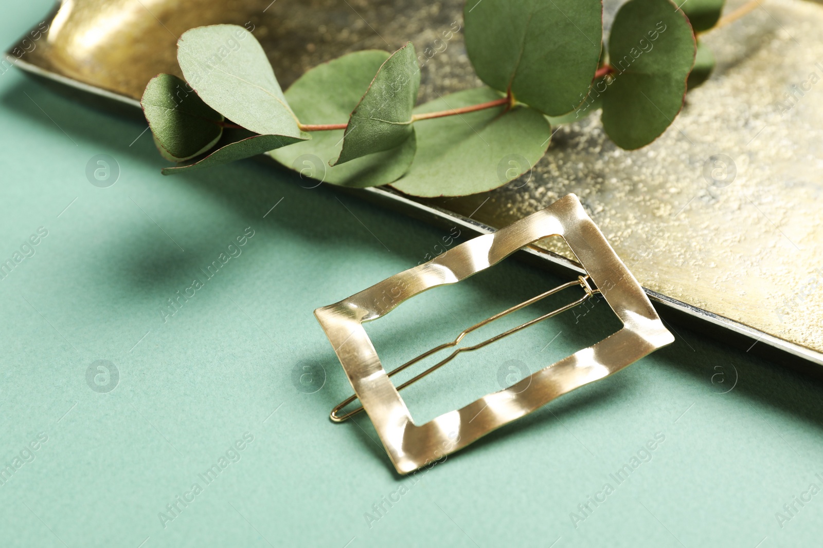 Photo of Stylish hair clip, plant and tray on green background