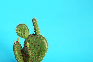 Photo of Beautiful green exotic cactus on light blue background. Space for text
