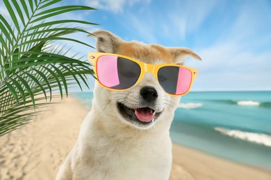 Image of Cute dog wearing sunglasses on sandy beach near sea. Summer vacation with pet