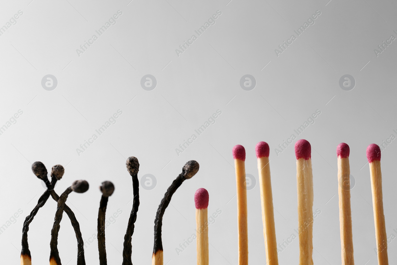 Photo of Burnt and whole matches on light grey background. Space for text